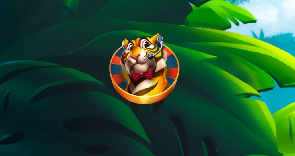 Why you should familiarize yourself with the Lucky Tiger platform before your first click 1