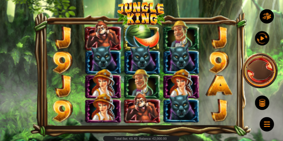 Undeniable advantages of the Jungle Slot for american players 🌴